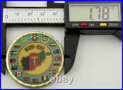 FOB 191 Afghanistan OEF Coalition Special Forces Navy SEAL AFSOC Challenge Coin