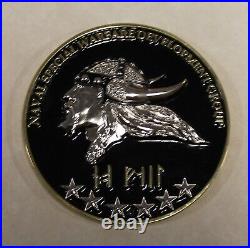 Gray Squadron Naval Special Warfare DEVGRU SEAL Team 6 Navy Challenge Coin Grey