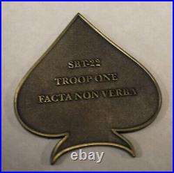 NSWG-4 Special Boat Team SBT-22 1-Troop DBGs Bronze Navy Challenge Coin / SEAL