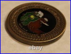 Naval Special Warfare Center SEAL BUDS Class #307 Navy Challenge Coin / Forces