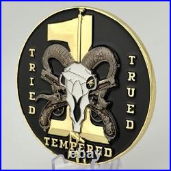 Naval Special Warfare Group 1 CPO Mess Challenge Coin NSWG-1 SEAL NSW