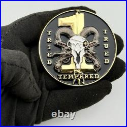 Naval Special Warfare Group 1 CPO Mess Challenge Coin NSWG-1 SEAL NSW