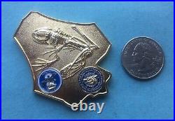 Naval Special Warfare Group Two (nswg-2) / Seal Team 2 (st-2) Challenge Coin
