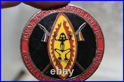 Naval Special Warfare Unit Ten SOCAFRICA SEAL Teams Epoxy Navy Challenge Coin
