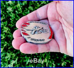 Navy Seal Team 5 V NSW 2 Troop Challenge Coin Pirate Skull Doubloon ST5 USN CPO