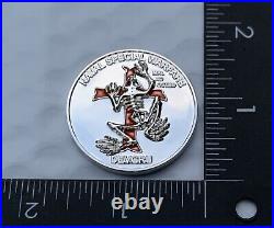Navy Seal Team VI 6 DEVGRU NSW Indian Skull Tribe Bone Frog Challenge Coin CPO