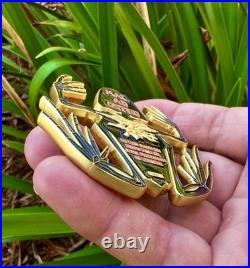 Navy Seals Bone Skull Skeleton Frog Seal Team 6 Challenge Coin NSW CPO DEVGRU