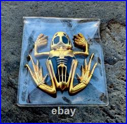 Navy Seals Bone Skull Skeleton Frog Seal Team 6 Challenge Coin NSW CPO DEVGRU