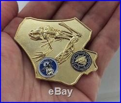 Navy Seals Special Warfare Nsw Team 2 Wali Kot Frog Challenge Coin Skull Cpo Sog