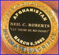 Neil C. Roberts Navy Seal Challenge Coin 1st Casually Operation Anaconda 3/5/02
