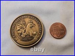 Older US Navy SEAL Team Five ST-5 Naval Special Warfare NSW Challenge Coin