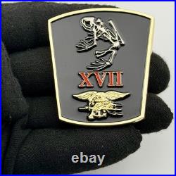 SEAL Team 17 Challenge Coin Navy SEAL Naval Special Warfare NSW XVII Bone Frog